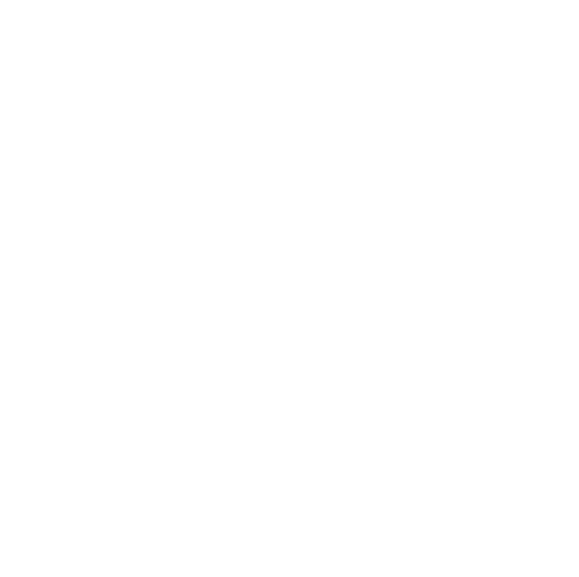 American Prime Burger